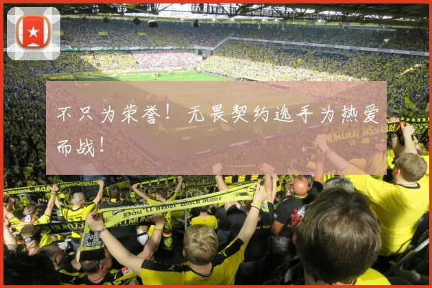 不只为荣誉!无畏契约选手为热爱而战!