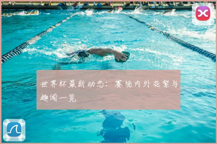 世界杯最新动态：赛场内外花絮与趣闻一览